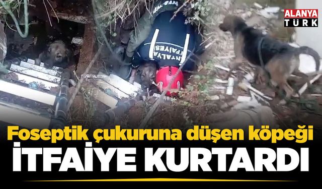 Foseptik çukuruna düşen köpeği itfaiye kurtardı
