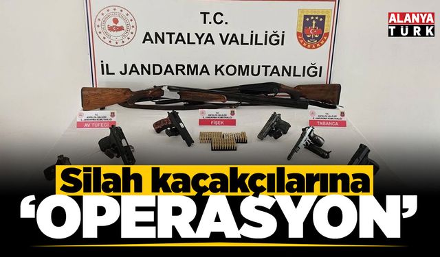 Jandarmadan silah kaçakçılığı operasyonu