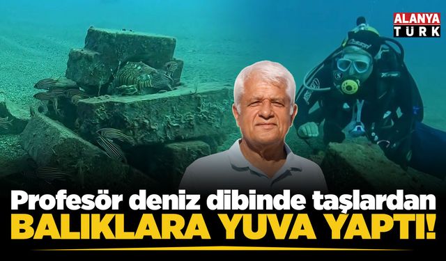 Profesör deniz dibinde taşlardan balıklara yuva yaptı