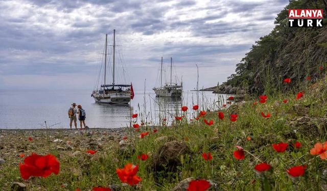 Dünyanın en güzel yürüyüş rotası seçildi