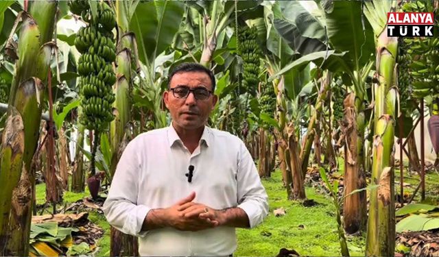 Tahir Göktepe: Muz fiyatı 40 TL’nin altına inerse üretim biter