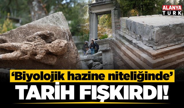 Termessos'taki ilk kazıda 'tarih fışkırdı!'