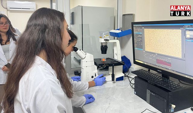 Parkinson’da bağırsak- beyin iletişimi çip üstü organ teknolojisiyle araştırılıyor