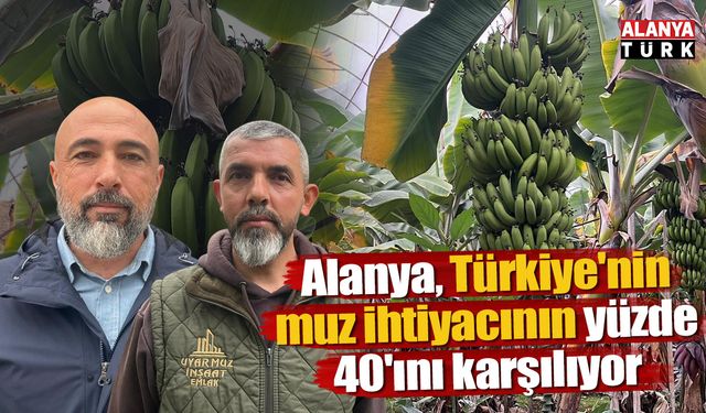 Alanya, Türkiye'nin muz ihtiyacının yüzde 40'ını karşılıyor