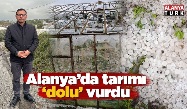 Alanya'da tarımı 'dolu' vurdu