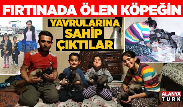 Fırtınada ölen köpeğin yavrularına sahip çıktılar