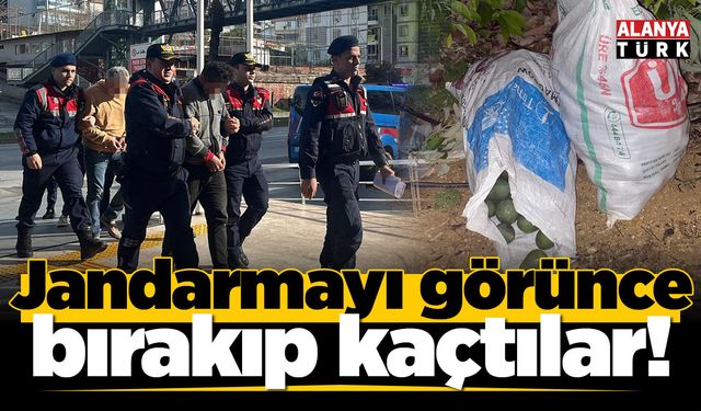 Jandarmayı görünce çaldıkları avokadoları bırakıp kaçtılar