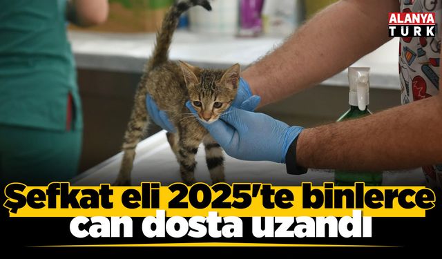 Şefkat eli 2025'te binlerce can dosta uzandı