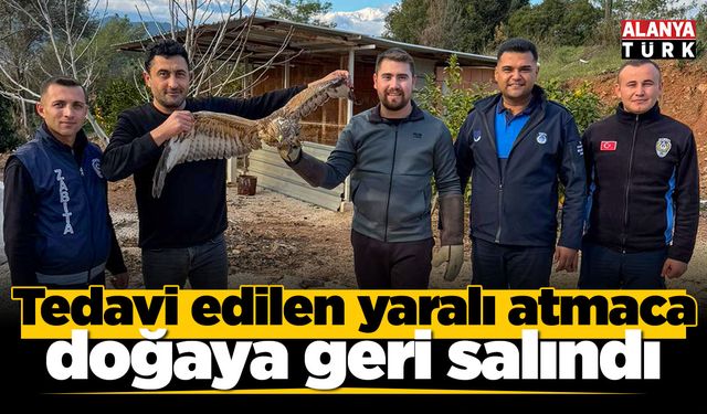Tedavi edilen yaralı atmaca doğaya geri salındı