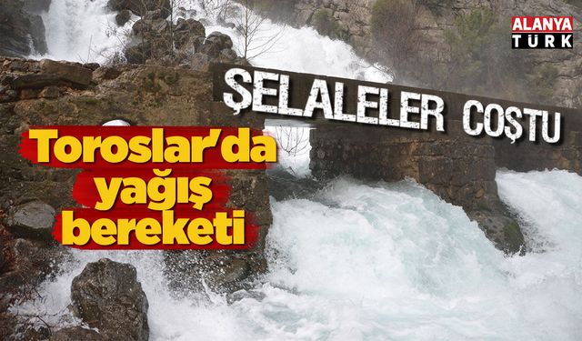 Toroslarda yağış bereketi, Şelaleler coştu!