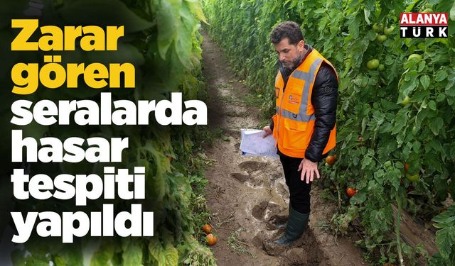 Zarar gören seralarda hasar tespiti yapıldı
