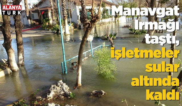 Manavgat Irmağı taştı, işletmeler sular altında kaldı