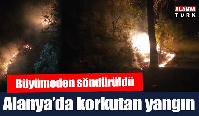 Alanya'da ormanlık alanda çıkan yangın büyümeden söndürüldü