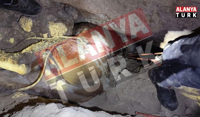 Mağaraya düşen düve kurtarılamadı