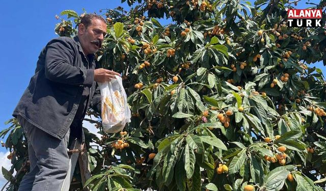 Alanya’da talep azalınca bedava dağıttı, poşetini alan bahçeye koştu