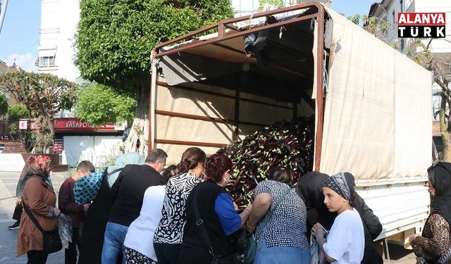 Alanya’da üretici 2 ton patlıcanı ücretsiz dağıttı