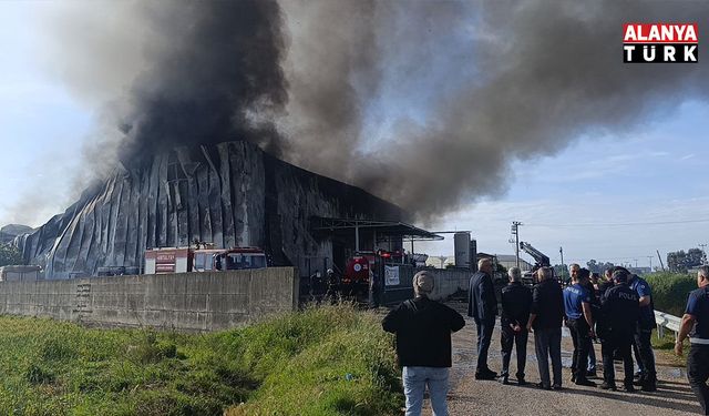 Antalya'da patates üretim tesisinde yangın