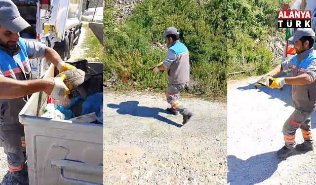 Belediye çalışanlarından örnek davranış: Çöp konteynerinde ölüme terk edilen kaplumbağayı kurtardılar