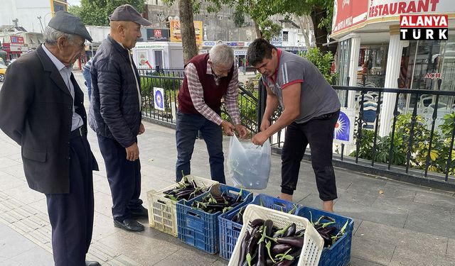 Ürettiği patlıcanlar maliyetini kurtarmayınca serasının kapılarını vatandaşlara açtı