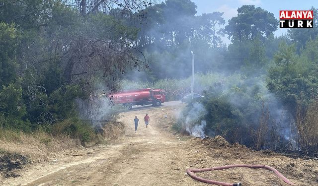 Antalya'da ormanlık alandaki yangın büyümeden söndürüldü