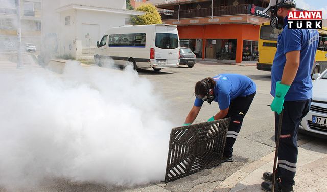 Antalya'da vektörle mücadele 19 ilçede sürdürülüyor