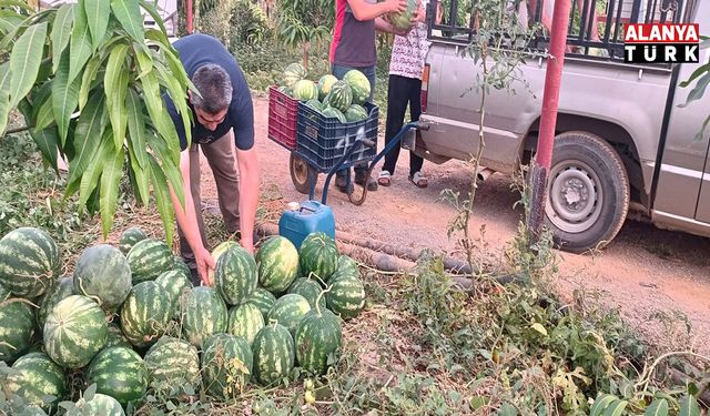 Hayırsever çiftçinin tarlası bu yıl öğrencilerin için hasat edildi