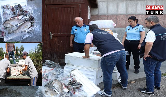 Antalya Otogarı'nda balık operasyonu: 260 kilo ele geçirildi