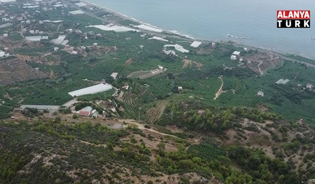 Alanya'da tarihi ve doğası ile bilinen Seki Mahallesi'nde 17 Mayıs'tan buyana su sorunu çözülemiyor
