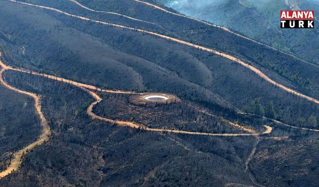 Alanya'daki orman yangınında şu ana kadar 305 dekar alan etkilendi