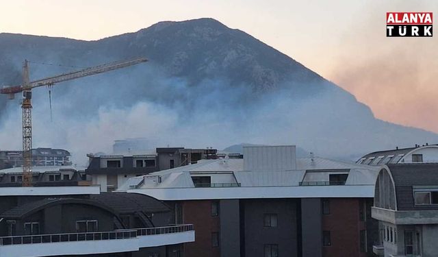 Alanya’da Ak Mezarlık bölgesinde yangın çıktı