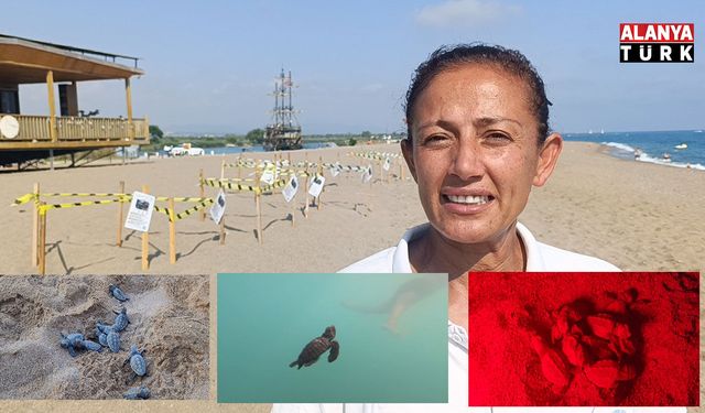 Manavgat'ta caretta caretta yavrularına koruma nöbeti