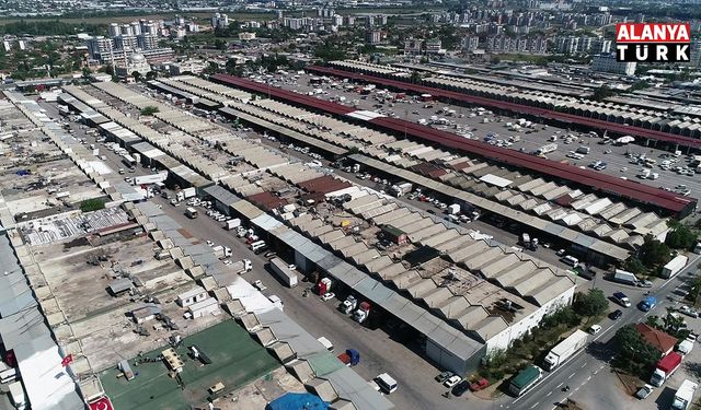 Antalya’da haziranda domates ve meyvede işlem miktarı arttı