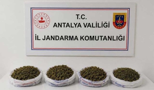 Alanya'da evde yapılan aramada 1 kilo 979 gram kubar esrar ele geçirildi
