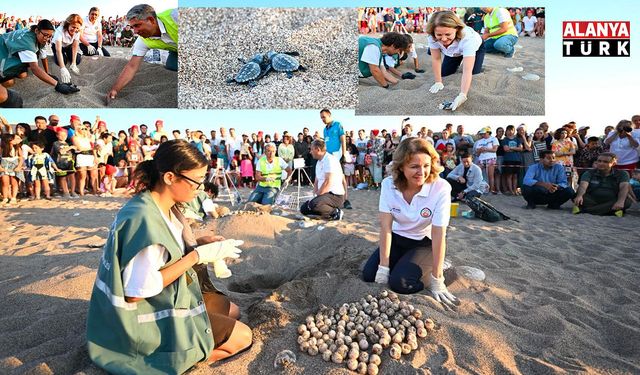 Antalya Mavi Akdeniz İnisiyatifi Kapsamında Caretta Caretta Yavruları Denizle Buluştu