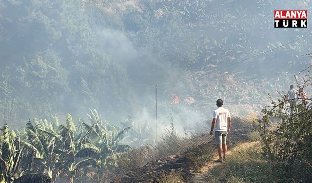 Mahmutlar'da Korkutan Orman Yangını! Facianın Eşiğinden Dönüldü