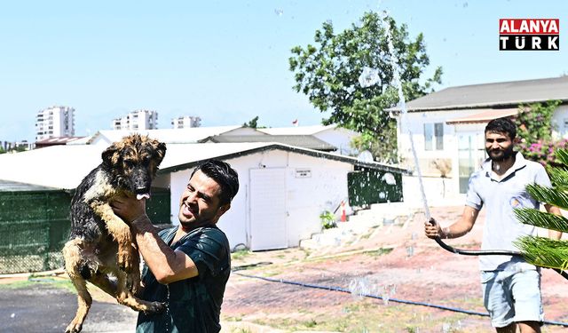 Muratpaşa'dan patili dostlara serin dokunuş