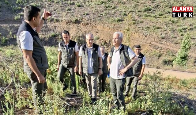 Genel Müdür’den Alanya’ya yangın mesaisi: “Yeşil Vatan” havadan ve karadan denetlendi
