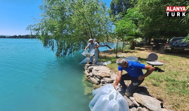 Manavgat'ta 400 bin balık yavrusu baraj gölünde bırakıldı