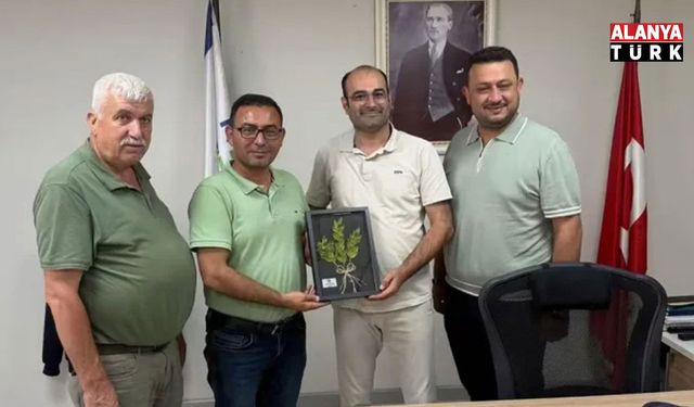 Alanyalı üreticilerin elektrik isyanı! Ziraat Odası çözüm için harekete geçti
