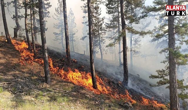 Alanya orman yangınlarına karşı teyakkuzda