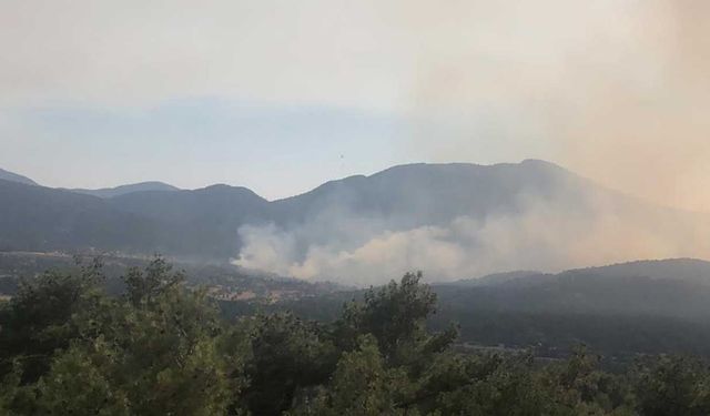 Akseki'deki orman yangınına müdahale sürüyor