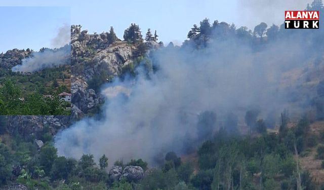Alanya’da zirai alanda çıkan yangın söndürüldü