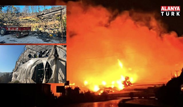 Alanya'da orman yangını muz seralarına sıçradı: 17 hektarlık alan zarar gördü