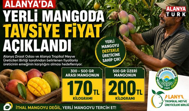 Alanya mangosunda fiyat belli oldu: Üretici için kilogram hesabı