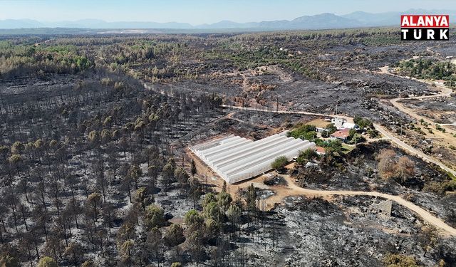 Antalya'da yangında ibretlik görüntüler, facia böyle geldi