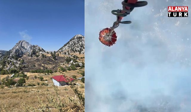 Alanya'nın iki ayrı mahallesindeki ormana sıçrayan yangın söndürüldü