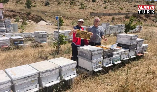 Alanya’da arıcılar sahada: Üreticilere kontrol ve bilgilendirme