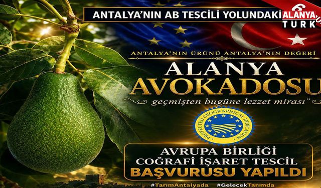 Alanya avokadosu Avrupa yolunda: AB tescili için başvuru yapıldı