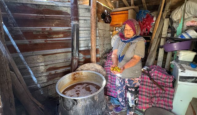 Torosların taş eriği sofralara iniyor 10 kilo erikten 1 kilo ekşi çıkıyor kilogramı 500 liradan satılıyor