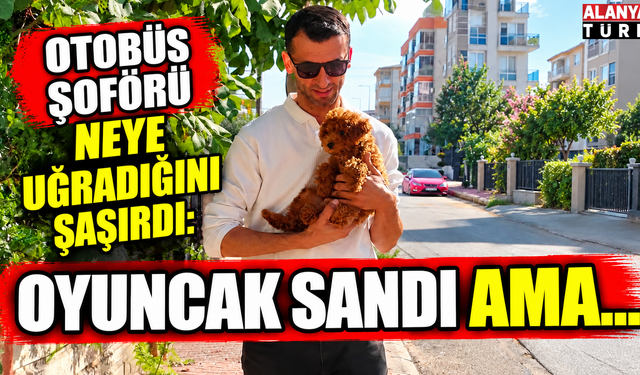 Antalya'da otobüs şoförünü şaşkına çeviren sessiz yolcu: Oyuncak sandı canlı çıktı